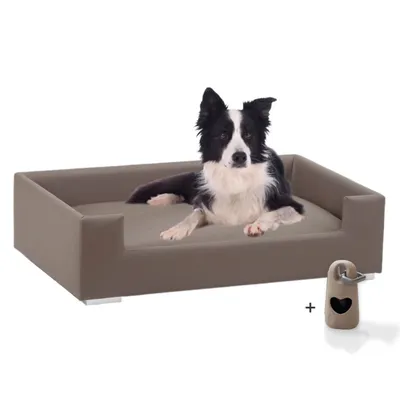 Rohrschneider Canapé pour chien rembourré avec pieds chromés