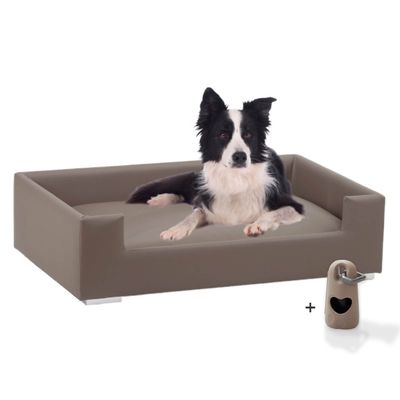 Rohrschneider Canapé pour chien rembourré avec pieds chromés