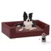 Rohrschneider Canapé pour chien rembourré avec pieds chromés