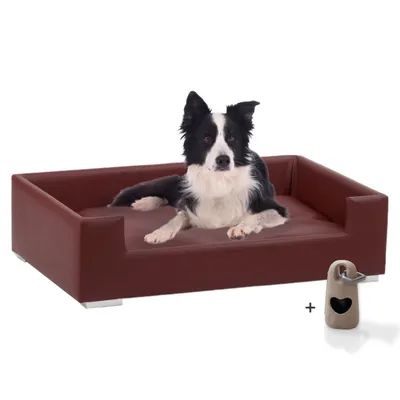 Rohrschneider Canapé pour chien rembourré avec pieds chromés