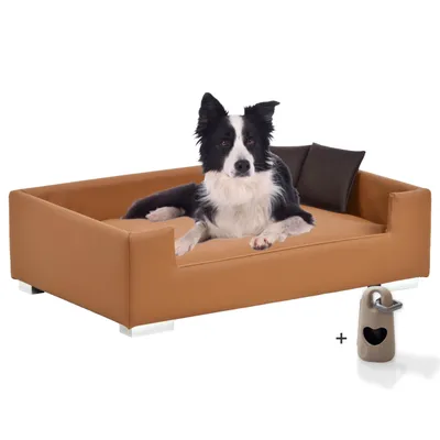 Rohrschneider Canapé pour chien rembourré avec pieds chromés