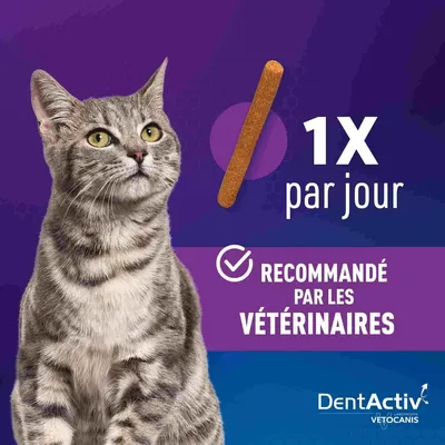 Vetocanis, Bâtonnets Hygiène Bucco-Dentaire pour Chat, DentActiv