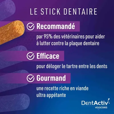 Vetocanis, Bâtonnets Hygiène Bucco-Dentaire pour Chat, DentActiv