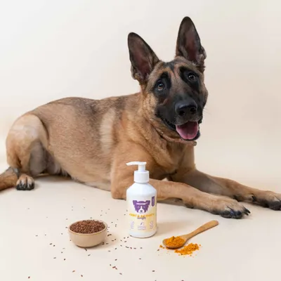 Dog Chef Joint & Activity - Complément Huile chien - Energie articulations