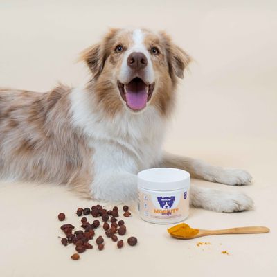 Dog Chef Mobility Booster - Complément Poudre chien - Os & articulations