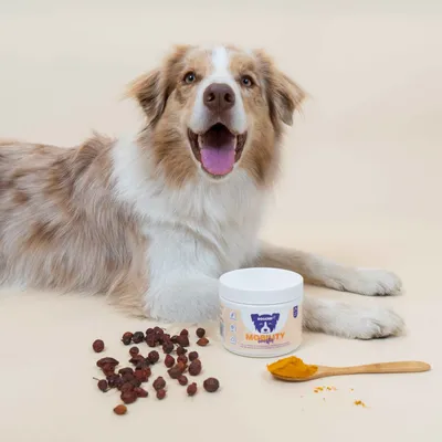 Dog Chef Mobility Booster - Complément Poudre chien - Os & articulations