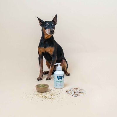 Dog Chef Calm&Brain Booster - Complément Huile chien - Bien-être & cerveau