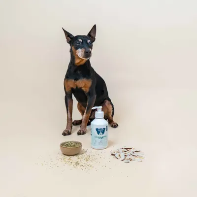 Dog Chef Calm&Brain Booster - Complément Huile chien - Bien-être & cerveau