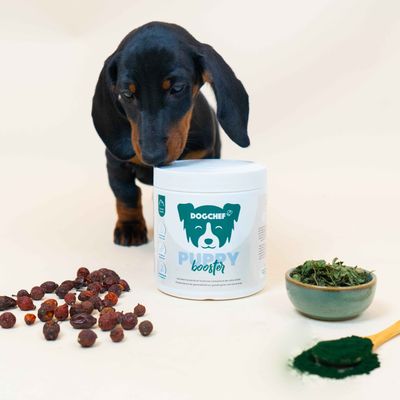 Dog Chef Puppy Booster - Complément Poudre chiot - Croissance&développement