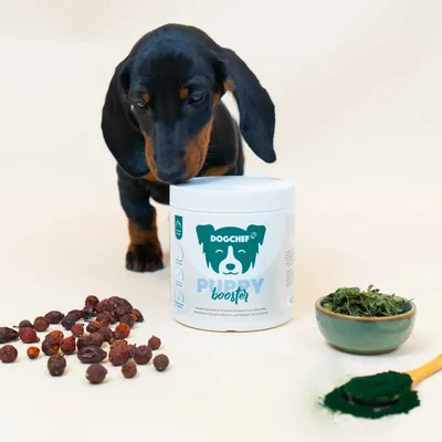 Dog Chef Puppy Booster - Complément Poudre chiot - Croissance&développement