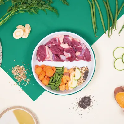 Dog Chef Repas Frais Cuisiné - Canard Frais - 100% Naturel pour chien