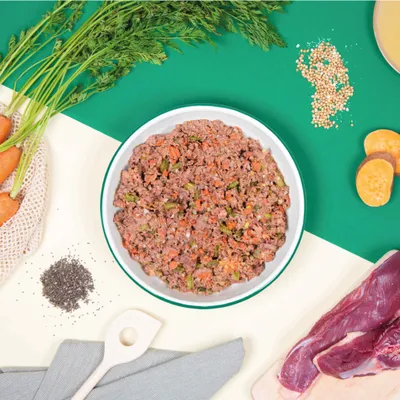 Dog Chef Repas Frais Cuisiné - Canard Frais - 100% Naturel pour chien