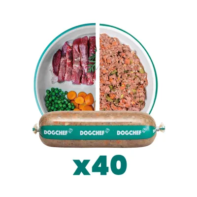 Dog Chef Repas Frais Cuisiné - Canard Frais - 100% Naturel pour chien