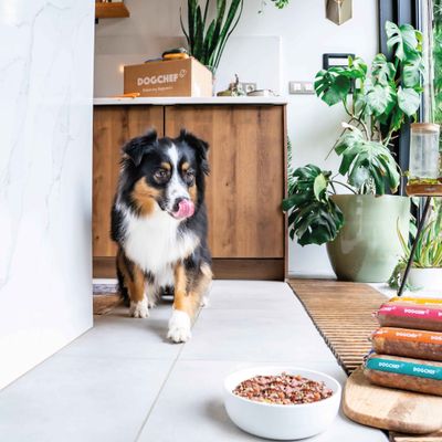 Dog Chef Frisch gekochtes Hundefutter – Ente – 100 % natürlich