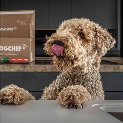 Dog Chef Frisch gekochtes Hundefutter – Schwein – 100 % natürlich