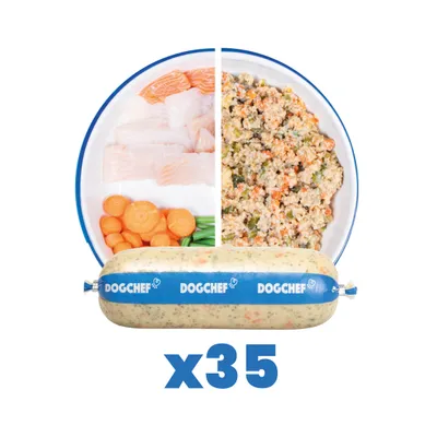 Dog Chef Repas Frais Cuisiné - Poisson Frais - 100% Naturel pour chien