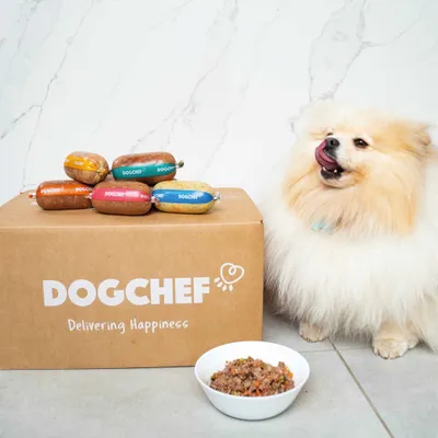 Dog Chef Repas Frais Cuisiné - Poisson Frais - 100% Naturel pour chien