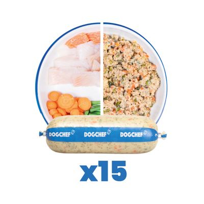 Dog Chef Repas Frais Cuisiné - Poisson Frais - 100% Naturel pour chien Lot de 15 Repas Frais au Poisson 300g