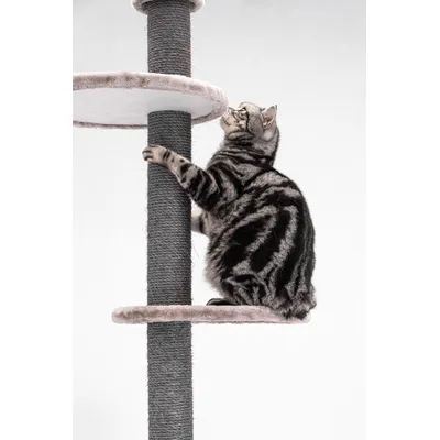 Petrebels Arbre à Chat Haut de Plafond Anna 240