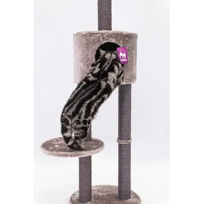 Petrebels Arbre à Chat Haut de Plafond Anna 240