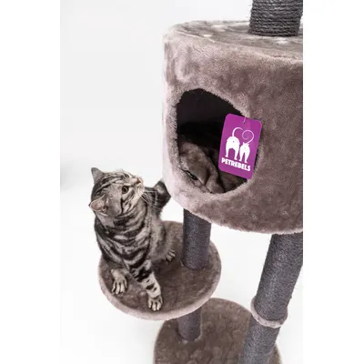 Petrebels Arbre à Chat Haut de Plafond Anna 240