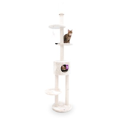 Petrebels Arbre à Chat Haut de Plafond Anna 240