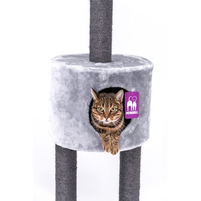 Petrebels Arbre à Chat Haut de Plafond Anna 240