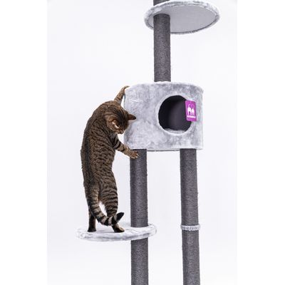 Petrebels Arbre à Chat Haut de Plafond Anna 240