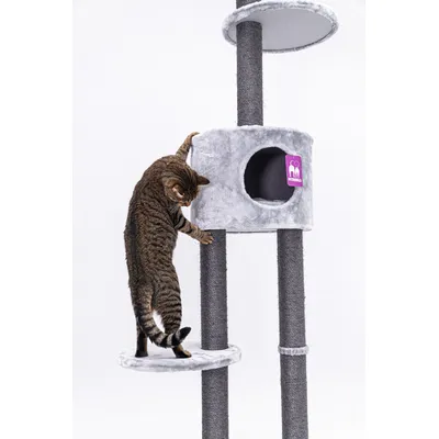 Petrebels Arbre à Chat Haut de Plafond Anna 240