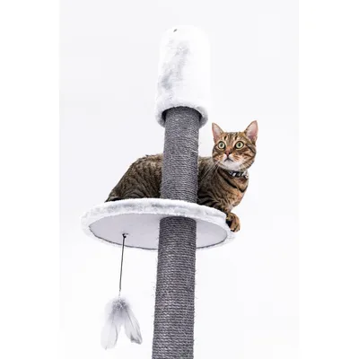 Petrebels Arbre à Chat Haut de Plafond Anna 240