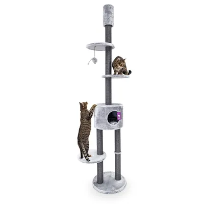 Petrebels Arbre à Chat Haut de Plafond Anna 240