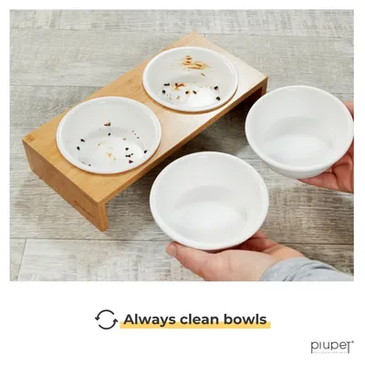 PiuPet Lot de 2 gamelles pour chat