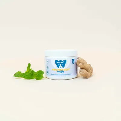 Dog Chef Pro Transit Booster  - Complément Poudre chien - Digestion & flore Dog Chef Pro Transit Booster  - Complément Poudre chien - Digestion & flore