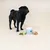 Dog Chef Pro Transit Booster  - Complément Poudre chien - Digestion & flore