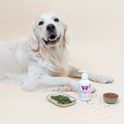 Dog Chef Skin & Hair Booster - Complément Huile chien - Peau saine & pelage