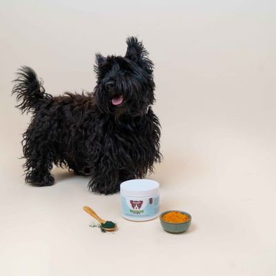 Dog Chef Senior Booster – Ergänzungsfutter – Gesundheit & Langlebigkeit