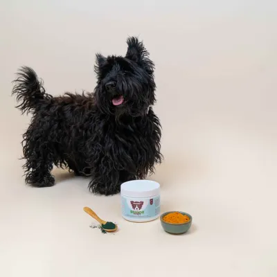 Dog Chef Senior Booster  - Complément Chien Senior - Santé & longévité