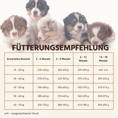 Wildfang Junior Trockenfutter mit Lachs für Welpen Wildfang Junior Trockenfutter mit Lachs für Welpen