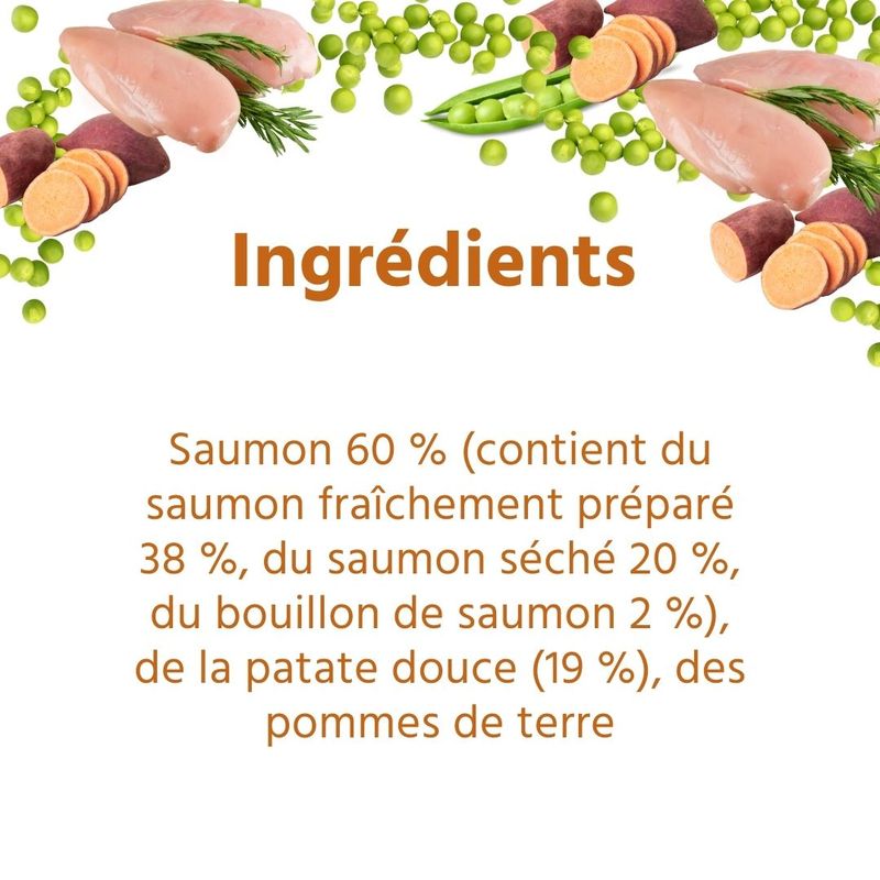 Wildfang® Croquettes Junior au saumon pour chiots - sans céréales