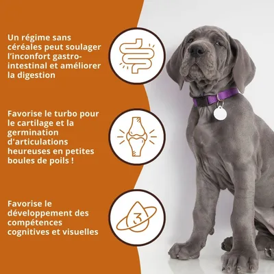 Wildfang® Croquettes Junior au saumon pour chiots - sans céréales