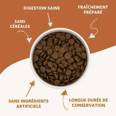 Wildfang® Croquettes Junior au saumon pour chiots - sans céréales