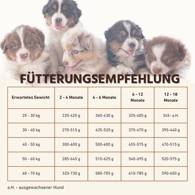 Wildfang Junior Trockenfutter mit Lachs für Welpen