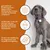 Wildfang® Croquettes Junior au saumon pour chiots - sans céréales