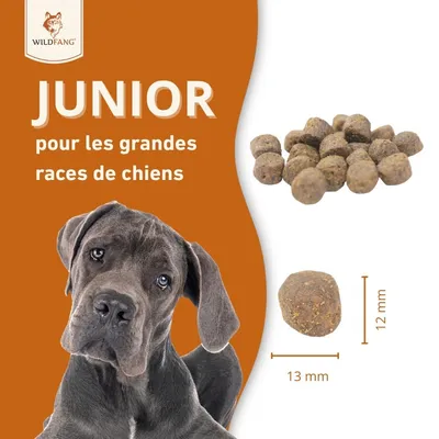 Wildfang® Croquettes Junior au saumon pour chiots - sans céréales