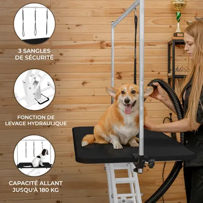 Monstershop Table Blanche de Toilettage Hydraulique avec Plateau