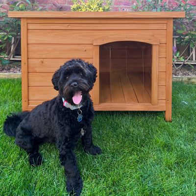 Monstershop Niche pour Chien