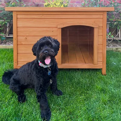 Monstershop Niche pour Chien