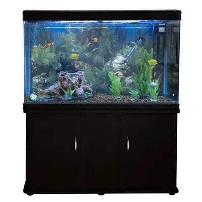 Monstershop Aquarium à bords Noir avec Meuble NOIR Monstershop Aquarium à bords Noir avec Meuble NOIR