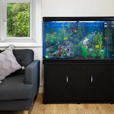 Monstershop Aquarium à bords Noir avec Meuble NOIR