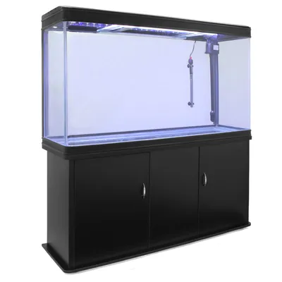 Monstershop Aquarium à bords Noir avec Meuble NOIR